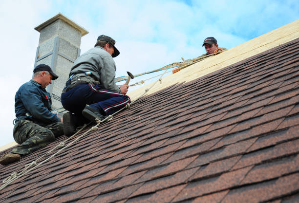 Best Roof Repair Services  in Upland, PA